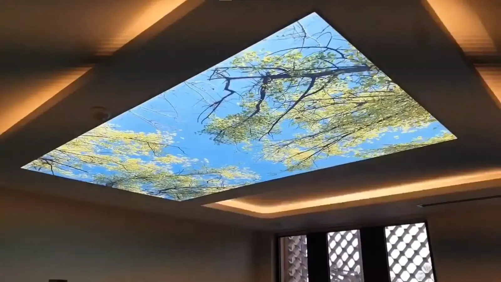 3D натяжной потолок — Орехово-Зуево, Парковская, 5а, фото 1